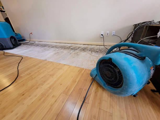 Professional Structural Drying technician working in Harleysville, PA